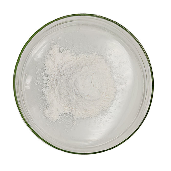 Nguyên liệu thô Fluororesin đóng túi 5130 Pvdf Polyvinylidene Fluoride 24937-79-9