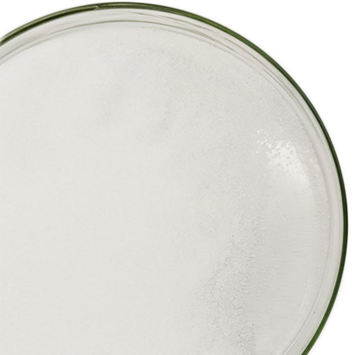 CAS 556-88-7 bột nitroguanidin thùng nguyên liệu tổng hợp