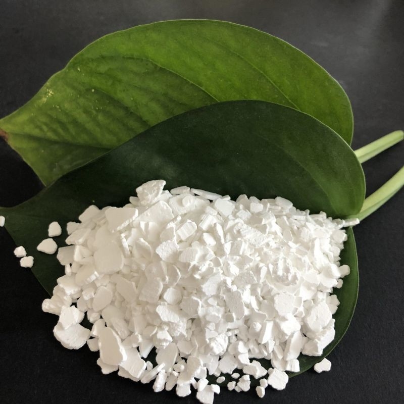 CrystalBoost Calcium Chloride Crystal Growth Enhancer Tăng cường tăng trưởng tinh thể trong các quy trình hóa học và sản xuất.