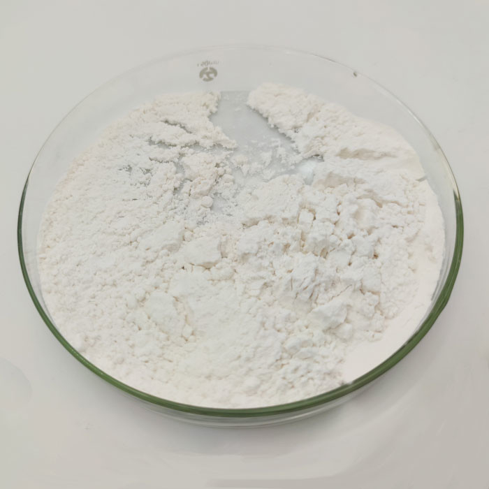 CAS 657-27-2 Lysine Hcl Phụ gia hóa chất thức ăn chăn nuôi Lysine Hydrochloride